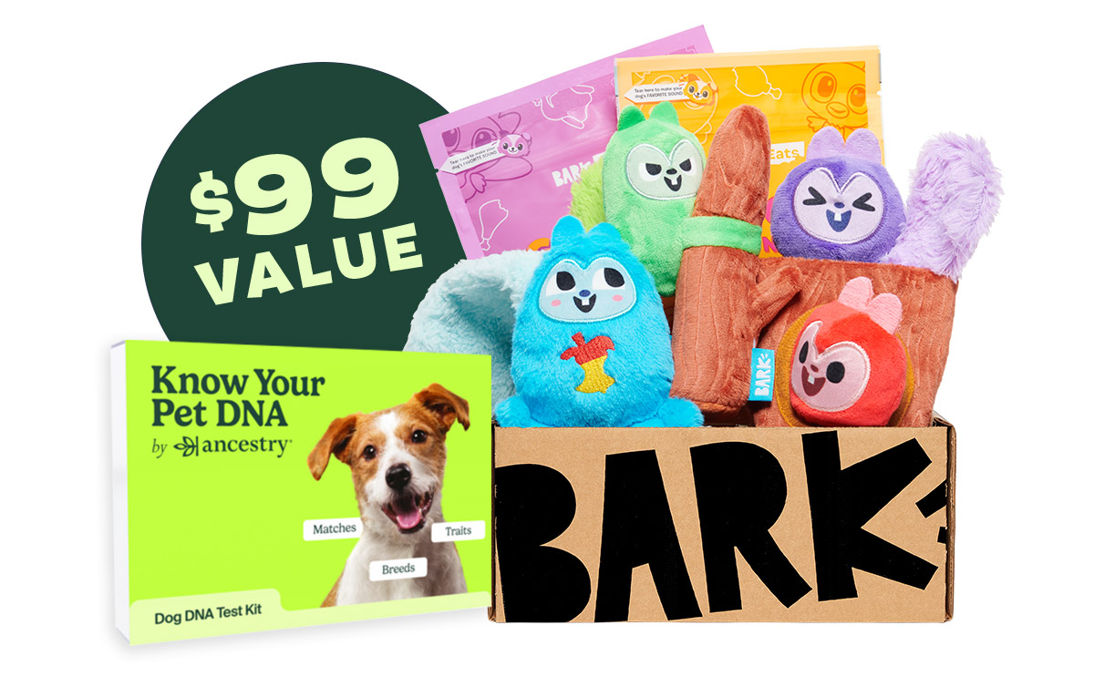 LAST CHANCE Your dog s FREE test Bark Shop